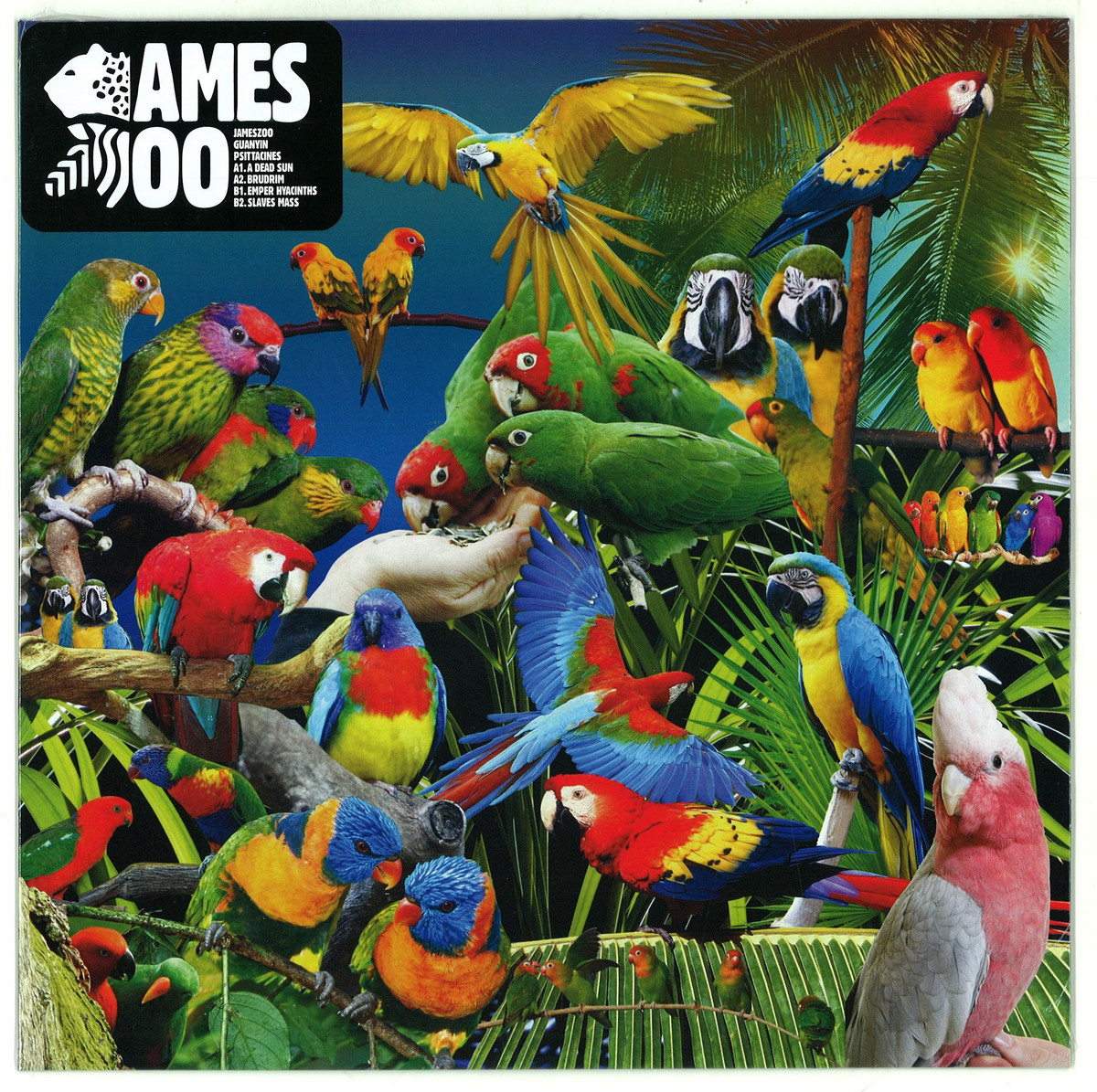 Jameszoo